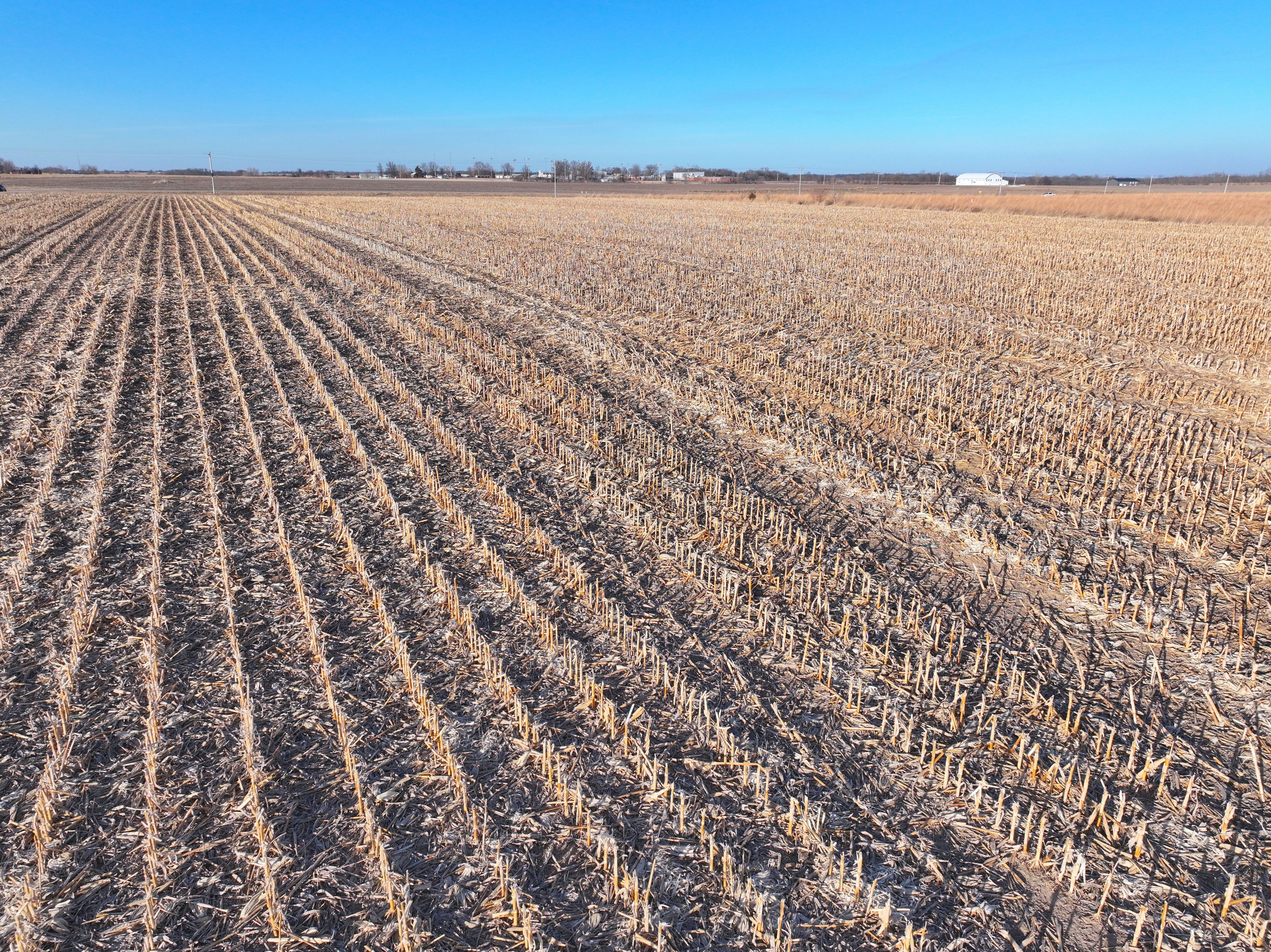 Listing Photo: Untitled (8 x 10 in) (5280 x 3956 px) - 2026-03-01T133052.348